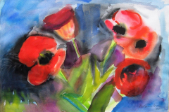 Tulpen-Rot-Aquarell-45x65-1970